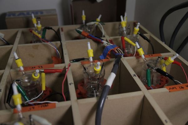 editor1525520105313962.jpg 4.jpg