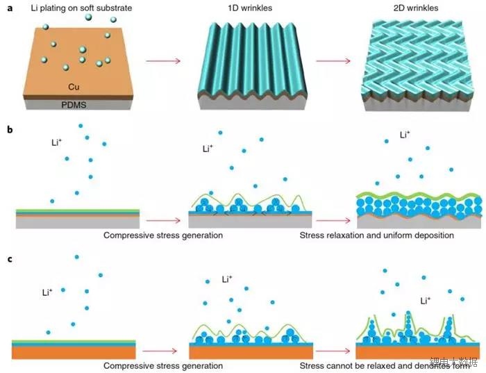 editor1526827043243346.jpg 1.jpg