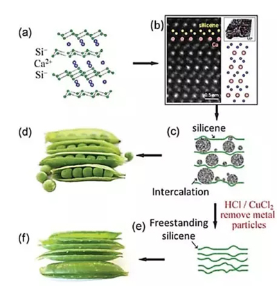 editor1527085027657299.jpg 1.jpg