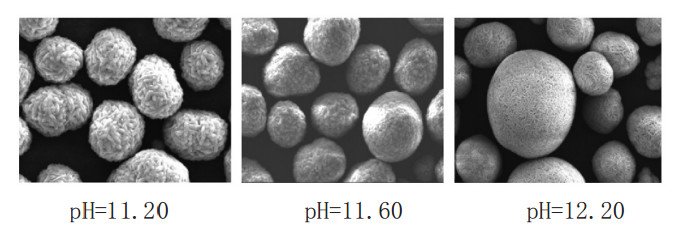 editor1534777287606675.jpg 077.jpg