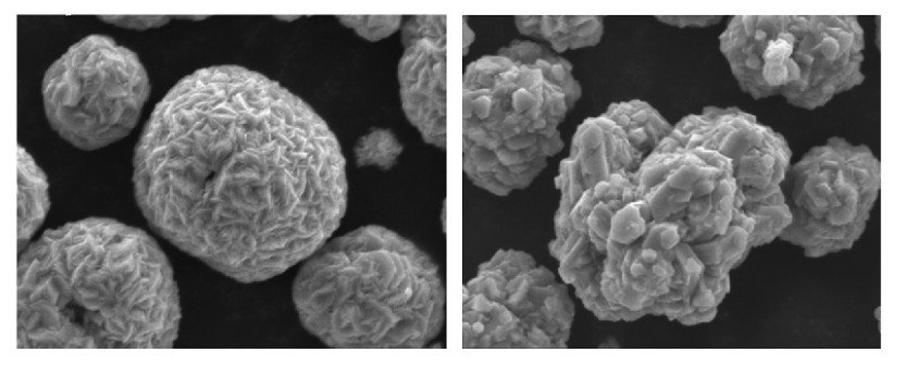 editor1534777381755659.jpg 0100.jpg