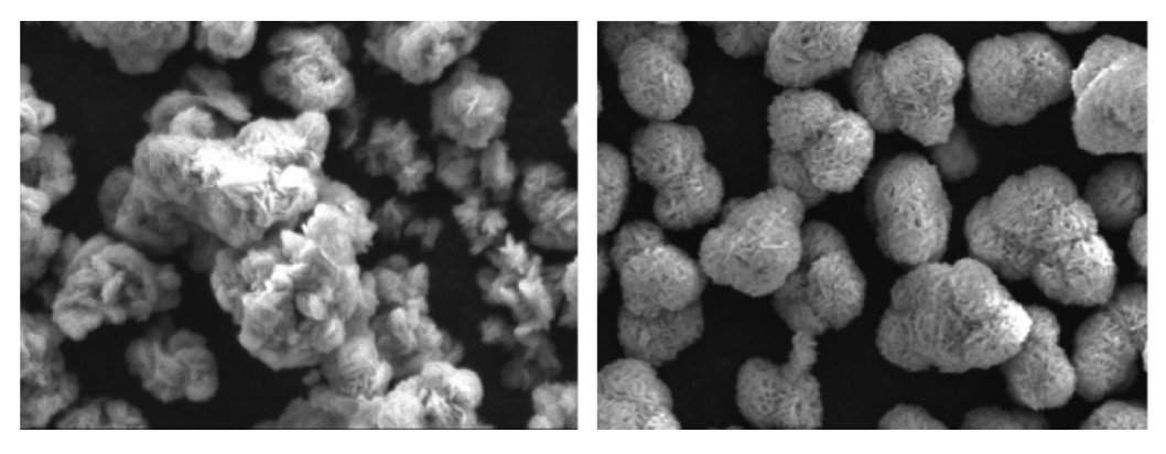 editor1534777433284633.jpg 0400.jpg