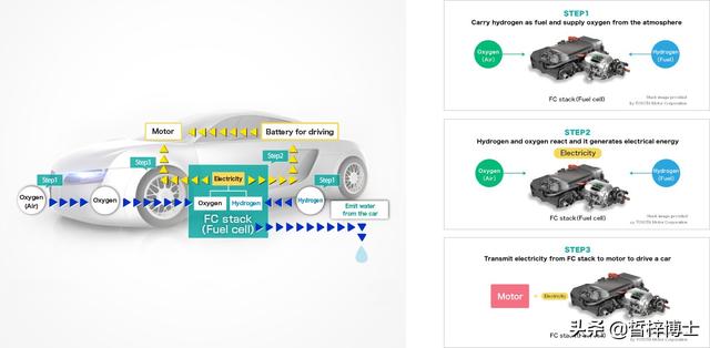 editor1554261228601658.jpg 21.jpg