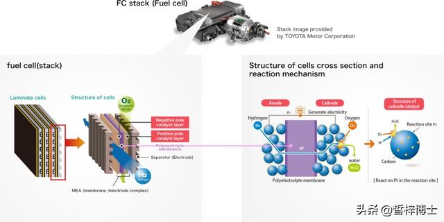 editor1554261246297170.jpg 22.jpg